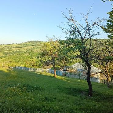 Torpaq sahələrinin satışı: Tikinti — 9