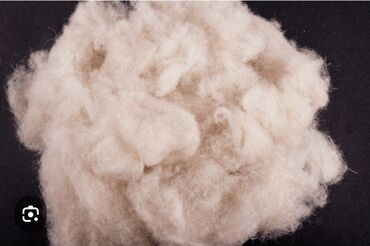 Аксессуары для шитья: Продается шерсть овечья, немытая