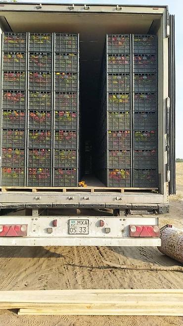 Ящики: Ящик, Новый — 20