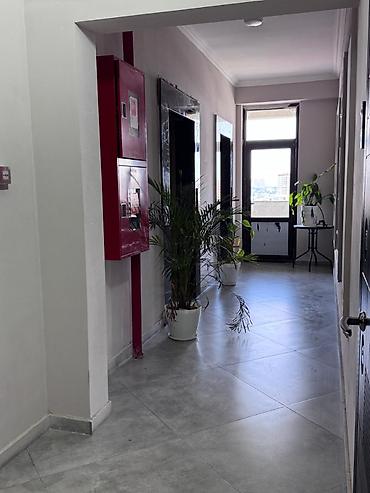 esey satisi: 4 otaqlı, Yeni tikili, 144 kv. m — 3