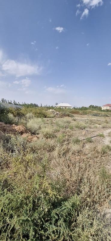 Torpaq sahələrinin satışı: Tikinti -da lalafo.az — 5 Torpaq sahələrinin satışı: Tikinti — 5