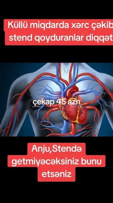 Təlim, kurslar: Checkup 80-100 yox, 45 AZN!