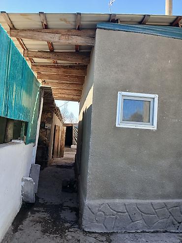 Продажа коттеджей и домов: Продаётся большой дом в селе Петровка с большим участком 40 — 13