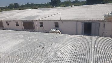 Digər daşınmaz kommersiya əmlakı icarəsi: Toyuq Üçün Ferma İcarəyə Verilir. Salam. 4 Ədəd, Hər Biri 15.000 — 11