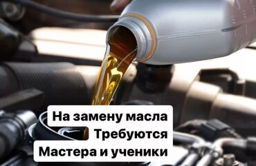 продаю отработку: Требуется работник, Оклад+Процент, Оплата Ежемесячно, Без опыта, Оформление по патенту, ЧП