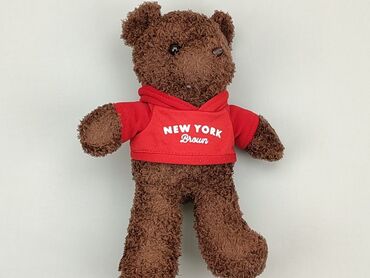 spodnie winylowe pull and bear: Mascot Teddy bear, condition - Good