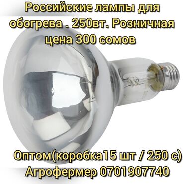Зоотовары: Белая лампа для обогрева (ИКЗ 250) Подходит для обогрева птичника и