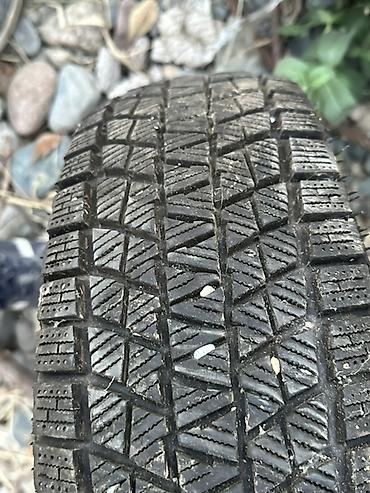 canry 70: В очень хорошем состоянии один сезон только катал Зимние автомобильные — 1