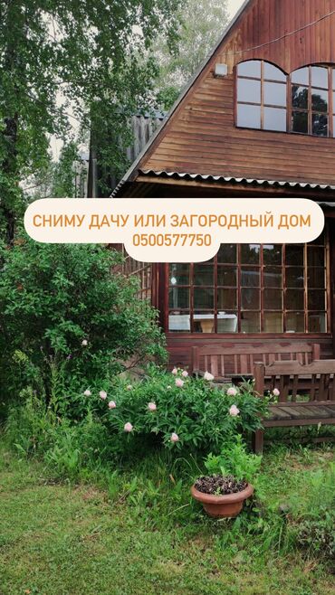 фризер аренда: 50 м², 2 комнаты