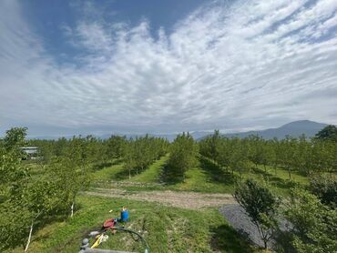 Torpaq sahələrinin satışı: 9500 sot, Biznes üçün, Mülkiyyətçi, Kupça (Çıxarış)