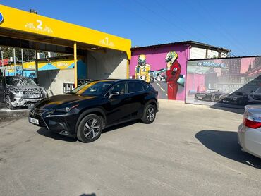 Lexus NX: 2018 г., 2 л, Автомат, Бензин, Кроссовер