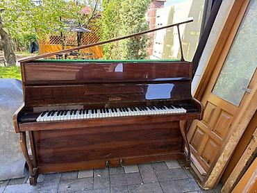 Пианино: Пианино Rönisch (классическое вертикальное) - Марка/модель: Rönisch — 7