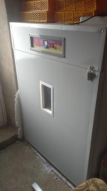 İnkubatorlar: Tam avtomat — 5