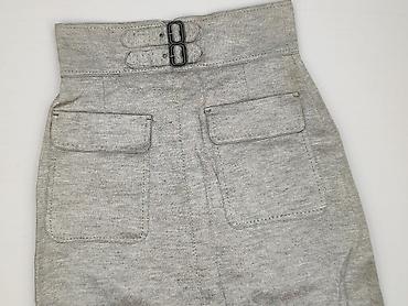 Zara, Women`s skirt, size M