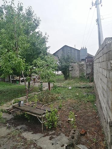 Продажа коттеджей и домов: Продаётся дом с двором и садом в Ошском районе, ул. Джим, 49. - — 21