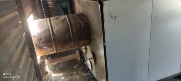 Digər biznes avadanlığı: Milyonluq katyol həm yağ hem qazdi . Süper veziyetdedi Cox az isdifade — 15