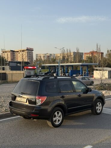 Subaru: Subaru Forester: 2010 г., 2.5 л, Автомат, Бензин, Кроссовер — 6
