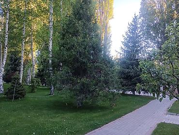 кв радуга: Продается небольшой коттедж в ЦО «Радуга» Свежий ремонт, новая мебель — 9