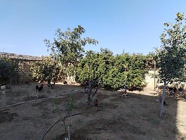 Həyət evləri və villaların satışı: 7 otaqlı, 156 kv. m, Təmirsiz — 20