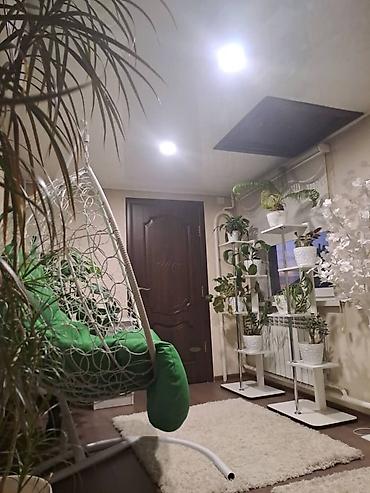 Продажа коттеджей и домов: 🏡 Бишкек, район Пишпек — продаётся дом ✨ 4 комнаты | 130 м² 🌿 — 15