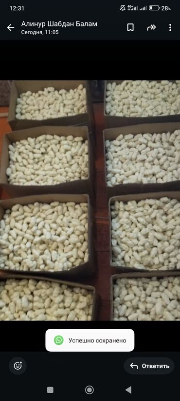 оборудование для типографии купить: Таза курут таза Сары май каймак чоого курут сатылат круглый год оптом