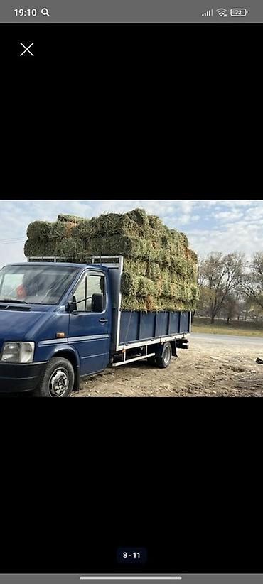 Транспорт: Легкий грузовик, Volkswagen, Стандарт, 3 т, Б/у — 6