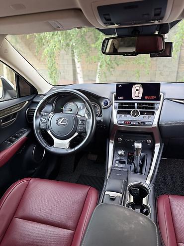 Lexus: Lexus NX: 2021 г., 2.5 л, Автомат, Гибрид, Внедорожник — 5