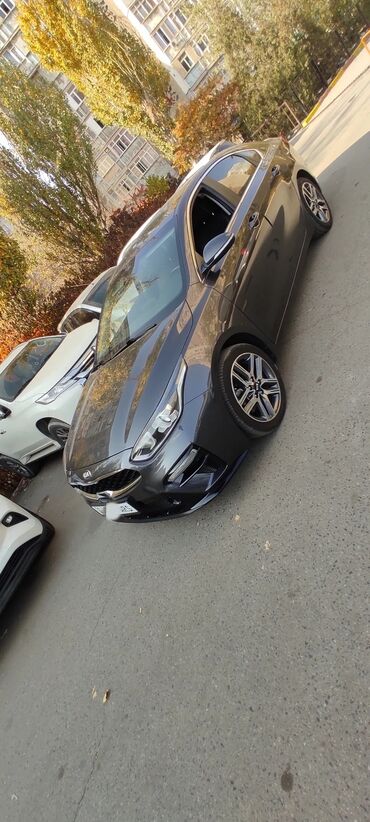 датчик положения дроссельной заслонки опель вектра б: Kia K3: 2019 г., 1.6 л, Вариатор, Бензин, Седан