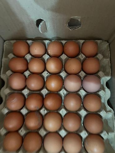 каробку: Приглашаем к сотрудничеству продуктовые магазины и точки розничной — 2