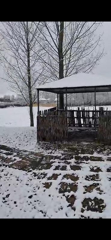 Bağ evlərinin satışı: Qəbələ, 16000 kv. m, 3 otaqlı, Hovuzsuz, İnternet — 5