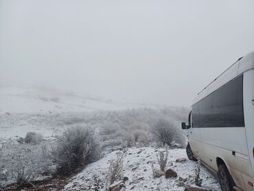 аренда салярис: Каракол, Регион боюнча, Шаар ичинде Бус | 17 орундук