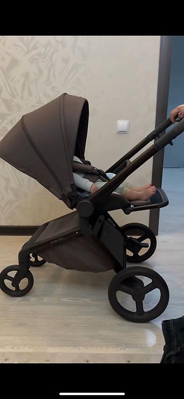 Коляски: Коляска «Anex flo»
Цвет кофе/коричневый — 14