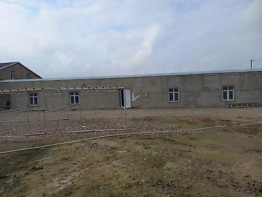 28 may masaj salonu: İcarəyə obyekt – anbar/istehsalat sahəsi - Ümumi sahə: iri ölçülü — 3