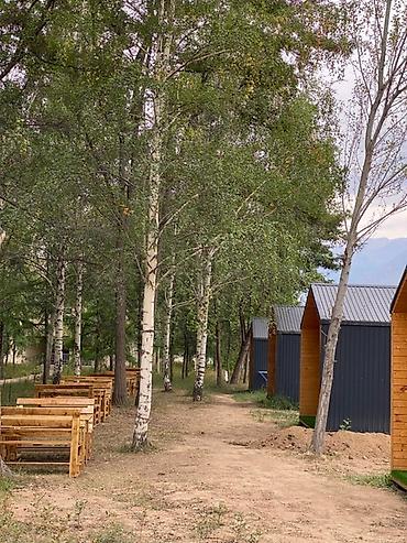 Палатки и домики: Эко-домики в лесу с удобствами - Компактные деревянные домики в — 2