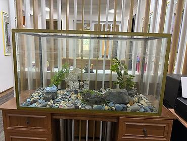 Dördbucaq akvarium, Boş, 360 l