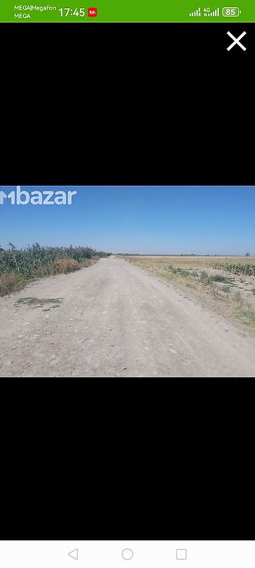 Жер тилкелерин сатуу: 260 соток, Айыл чарба үчүн, Кызыл китеп — 4