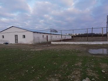 Kommersiya daşınmaz əmlakının satışı: 🔹 Satılır: Ferma – Xudat, Ləcət kəndi 🔹 ✅ Unikal fürsət! Xudat-Yalama — 16