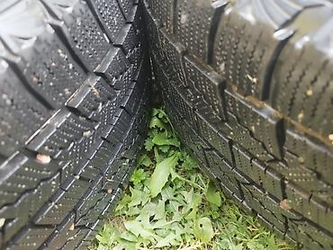 Колеса в сборе 235 / 60 / R 16, Зимняя шипованная, Б/у, Комплект, Легковые, Литые, отверстий - 5 — 2