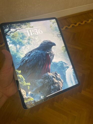 Daş yunu: İşlənmiş Apple iPad Pro 12.9 (2022), 12,9", 512 GB, Pulsuz çatdırılma, Rayonlara çatdırılma, Ünvandan götürmə