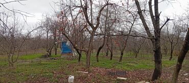 Bağ evlərinin satışı: Alekseevka, 30 kv. m, 15 otaq, Su — 1