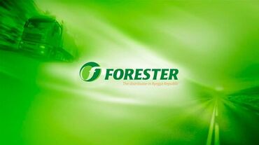 Автобизнес, сервисное обслуживание: В компанию "Forester" требуется Начальник карного цеха. Мы ищем