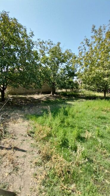 Torpaq sahələrinin satışı: 8 sot, Tikinti, Maklerlər narahat etməsin, Kupça (Çıxarış) — 8