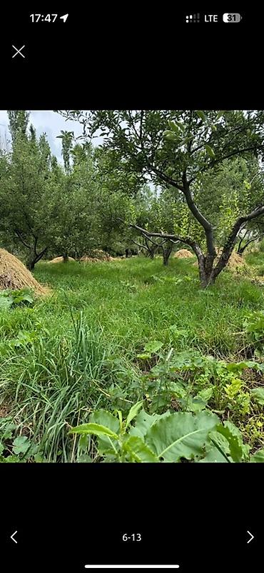 Продажа коттеджей и домов: 🏠Продается дом с участком • Баз для домашних животных (овец, коров и — 17