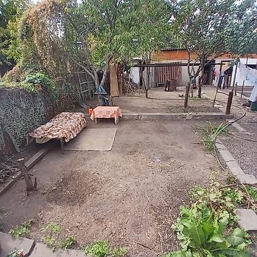 дача дружба: 4 комнаты, 110 м², 4 соток, Аламедин (ГЭС-2), Собственник — 5