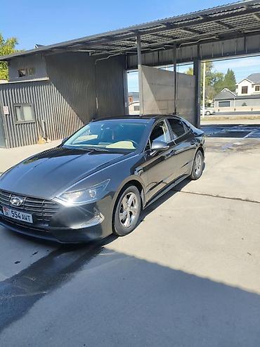 форд фокус: Hyundai Sonata: 2019 г., Автомат, Газ, Седан — 1