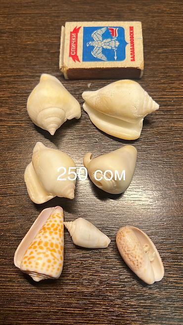 Аквариумы: Ракушки натуральные натуральные камни стеклянные шарики для — 2