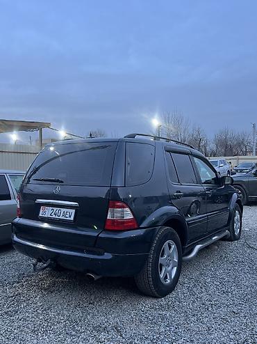 Mercedes-Benz: Mercedes-Benz ML-Class: 2002 г., 4 л, Автомат, Дизель, Кроссовер — 9