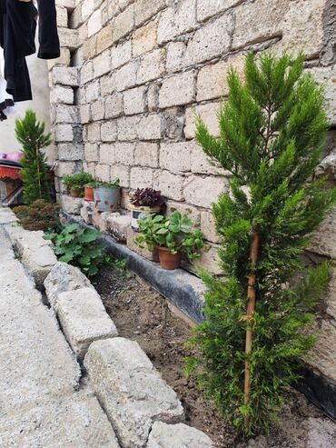 Həyət evləri və villaların satışı: 3 otaqlı, 100 kv. m, Kredit yoxdur, Yeni təmirli — 4