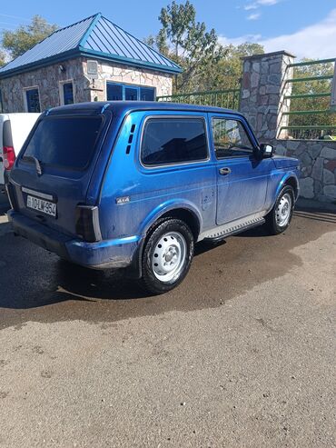 ваза стеклянная прозрачная высокая без узора: ВАЗ (ЛАДА) 4x4 Нива: 1.7 л | 1995 г. 33000 км Хэтчбэк