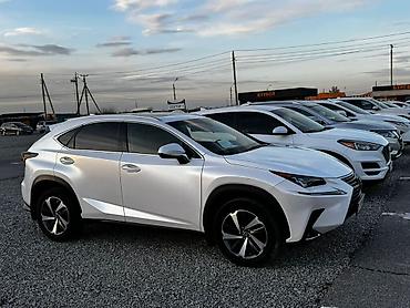Lexus: Lexus NX: 2018 г., 2 л, Автомат, Бензин, Кроссовер — 5